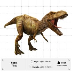 A graph showcasing the size of the T. Rex. Height: 4m Length: 12m Weight: 14 tons