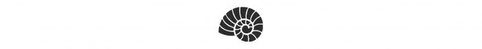 An outline of an ammonite fossil.