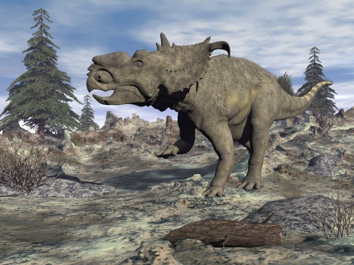 An Albertosaurus render
