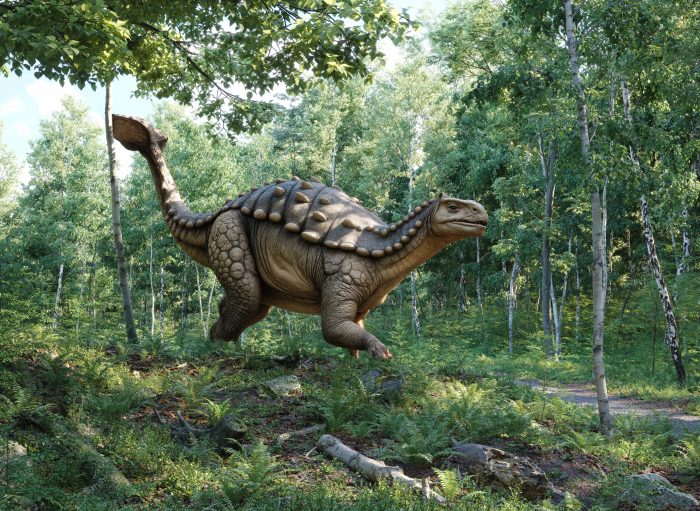 A model Gastonia in a forest