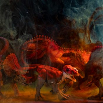 Model dinosaurs in ambient lighting