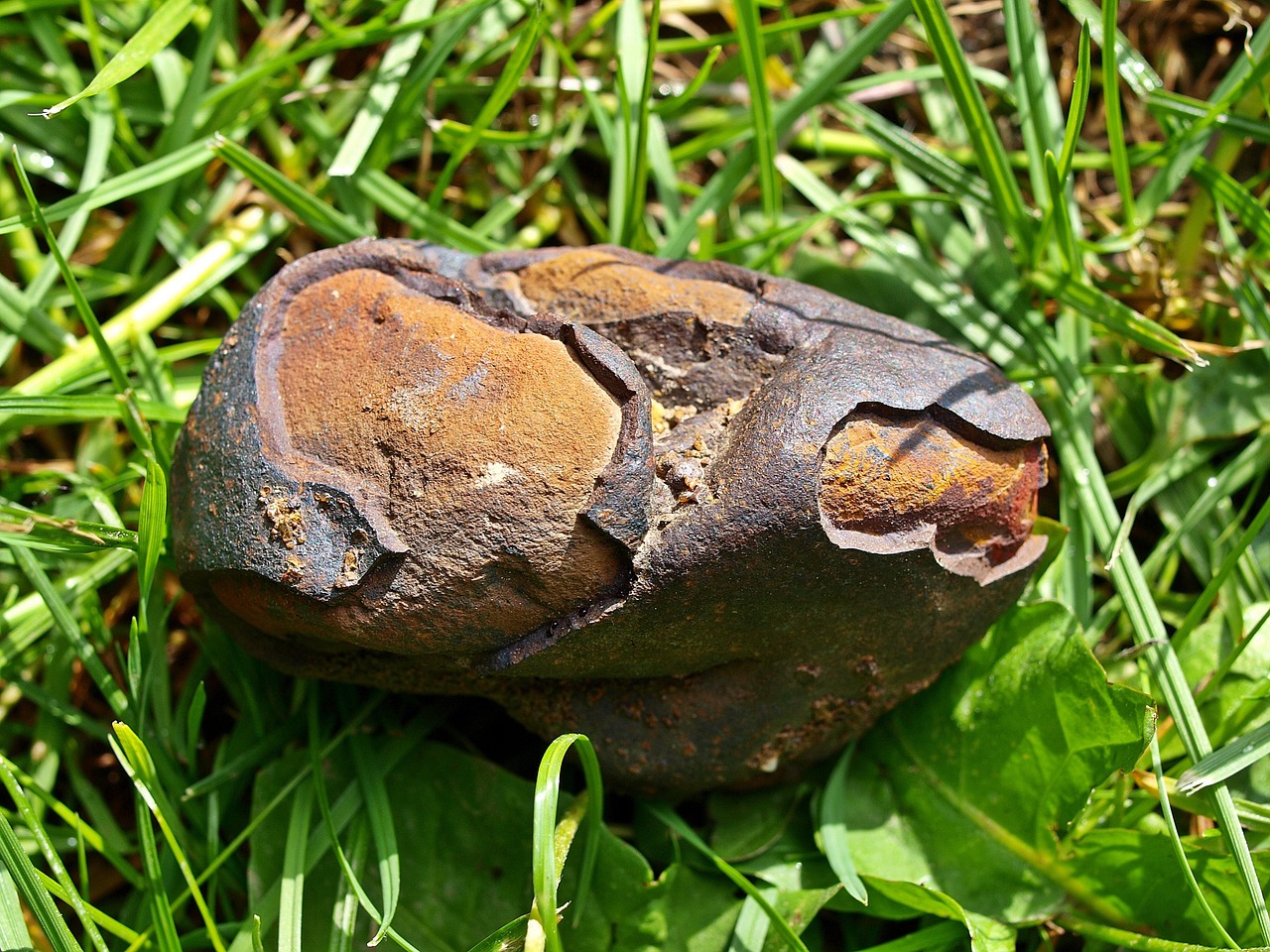 A small meteorite on grass