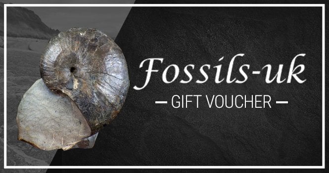 Fossils UK Gift Voucher