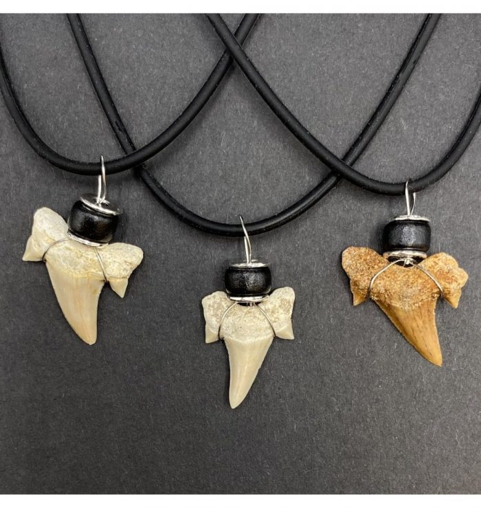 Eocene Shark Tooth Necklace from Morocco