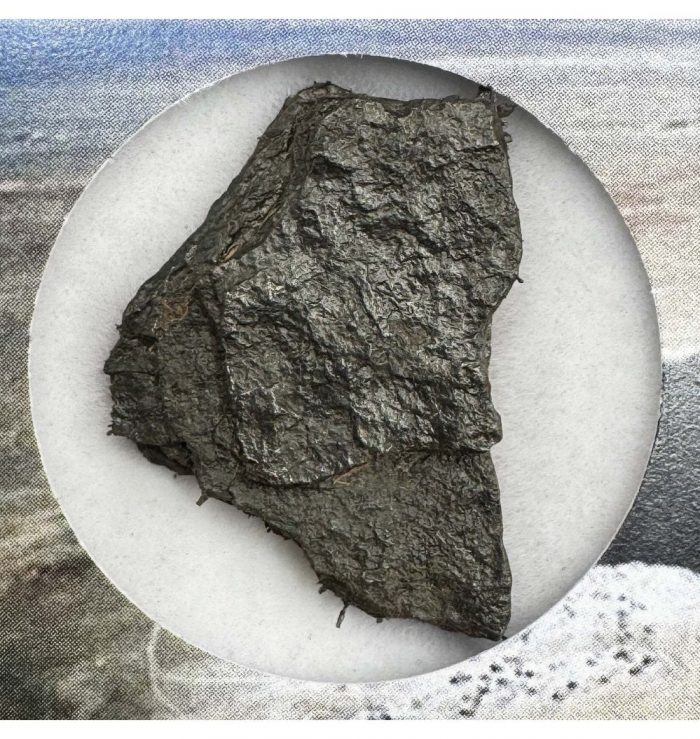 >5 g Canyon Diablo Iron Meteorite
