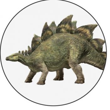 A designed image of a stegosaurus