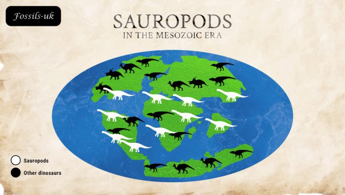 A map showing how wide-spread Sauropods were during the Mesozoic.