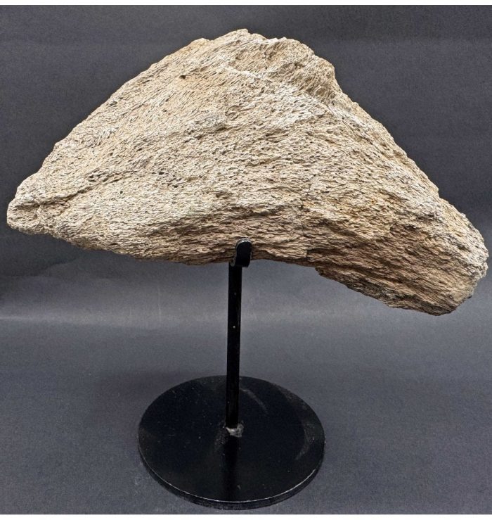 Partial Cretaceous Dinosaur (Triceratops) Skull Piece from Montana, USA (SKU V7745):- Triceratops horridus