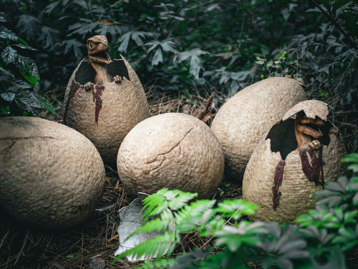 Dinosaurs Hatching From Eggs
More info
Share