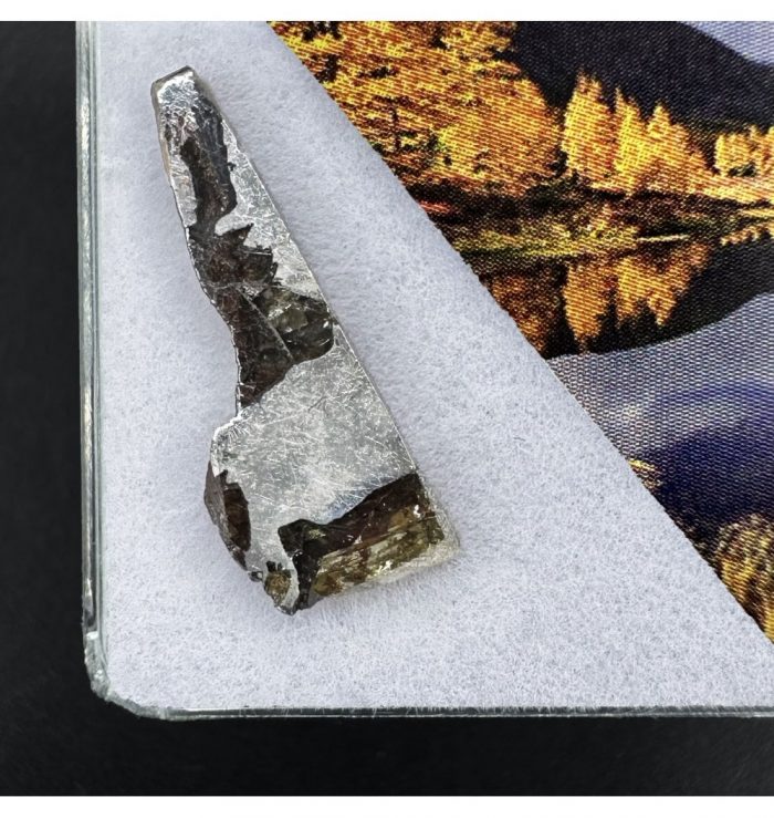 2g Seymchan Pallasite Meteorite