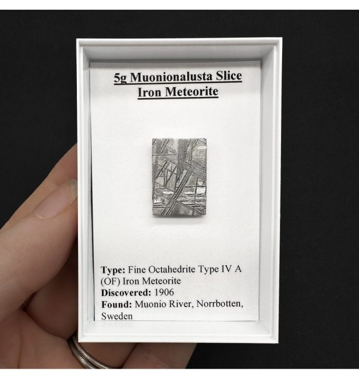 5g Muonionalusta Slice Iron Meteorite