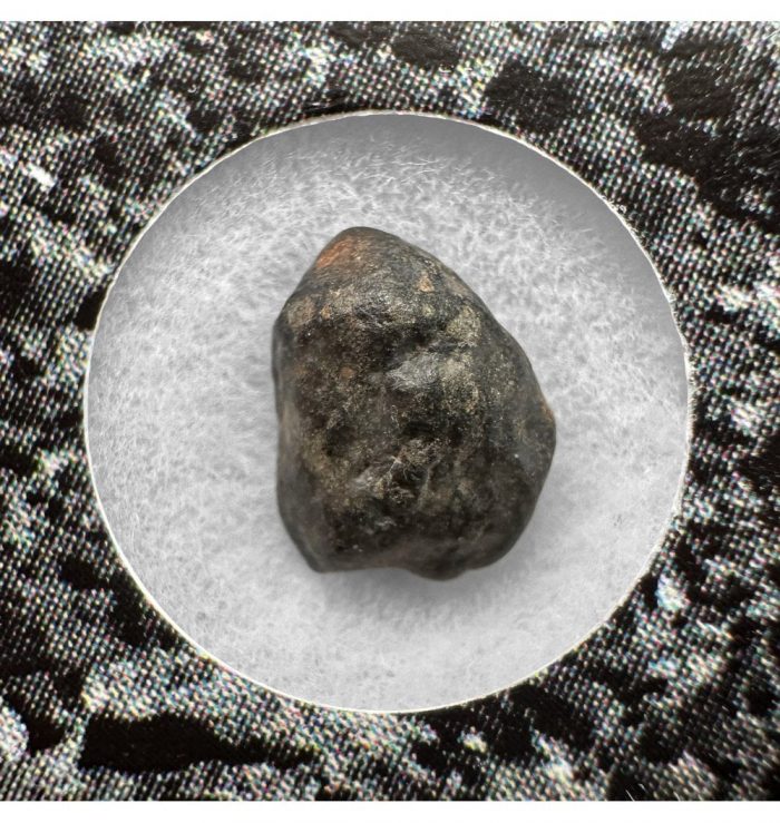 Evidence of Panspermia? <0.001g CV3 Carbonaceous Chondrite Meteorite Fragment
