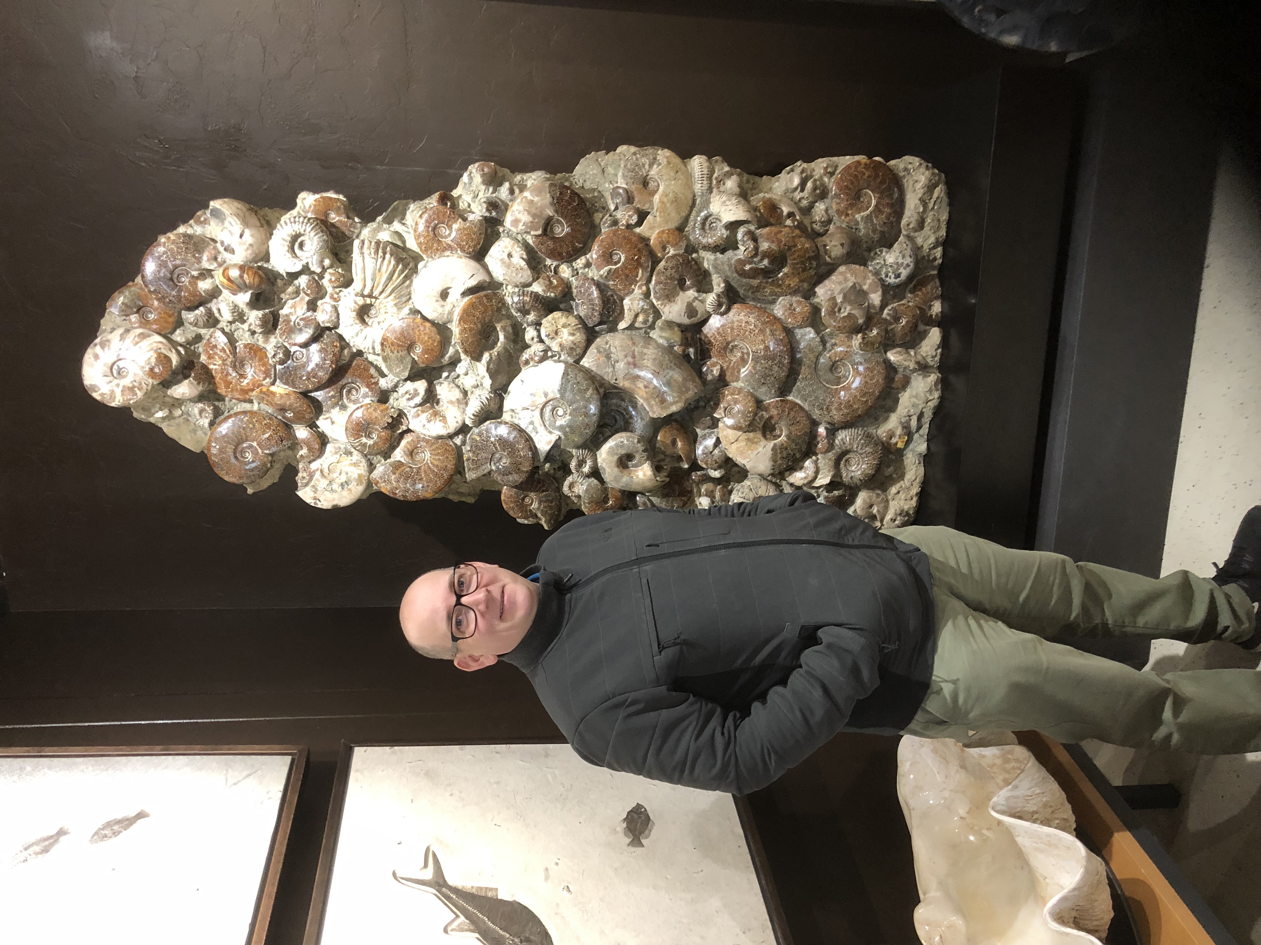 byron and ammonite cluster