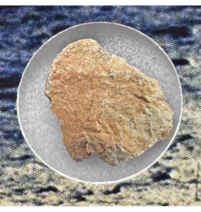 0.151 - 0.35g Lunar Meteorite NWA 16372 Troctolitic Anorthosite Meteorite (SKU M2516)