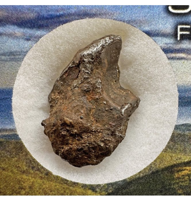 1-2g Sikhote Alin Iron Meteorite (SKU M2218)