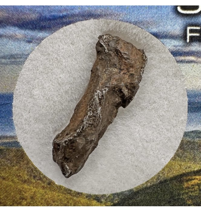 1-2g Sikhote Alin Iron Meteorite (SKU M2233)