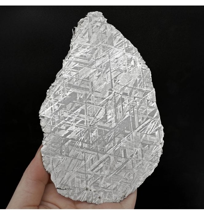 196.16g Muonionalusta Meteorite Slice (SKU M2159)