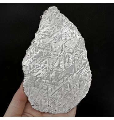196.16g Muonionalusta Meteorite Slice (SKU M2159)