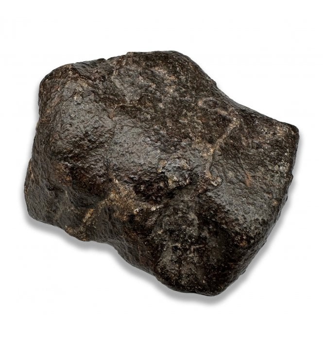 258g NWA 869 Stoney (Chondrite) Meteorite (SKU M2635)