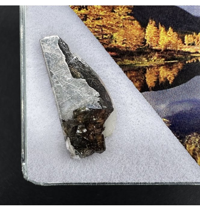 >2g Seymchan Pallasite Meteorite (SKU M2296)