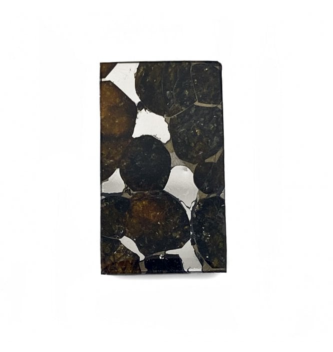 4 g Sericho Pallasite Slice Stony-Iron Meteorite (SKU M1344)
