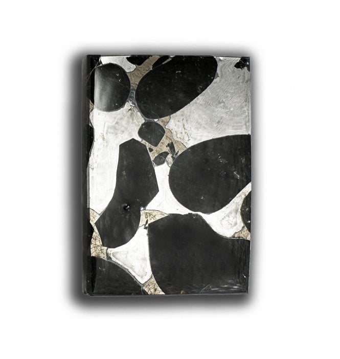 4g Sericho Pallasite Slice Stony-Iron Meteorite (SKU M2459)