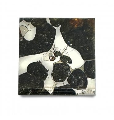 5 g Sericho Pallasite Slice Stony-Iron Meteorite (SKU M1526)