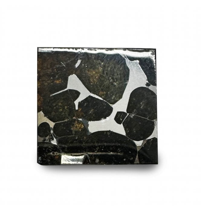 5 g Sericho Pallasite Slice Stony-Iron Meteorite (SKU M1539)