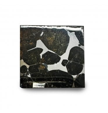 5 g Sericho Pallasite Slice Stony-Iron Meteorite (SKU M1539)