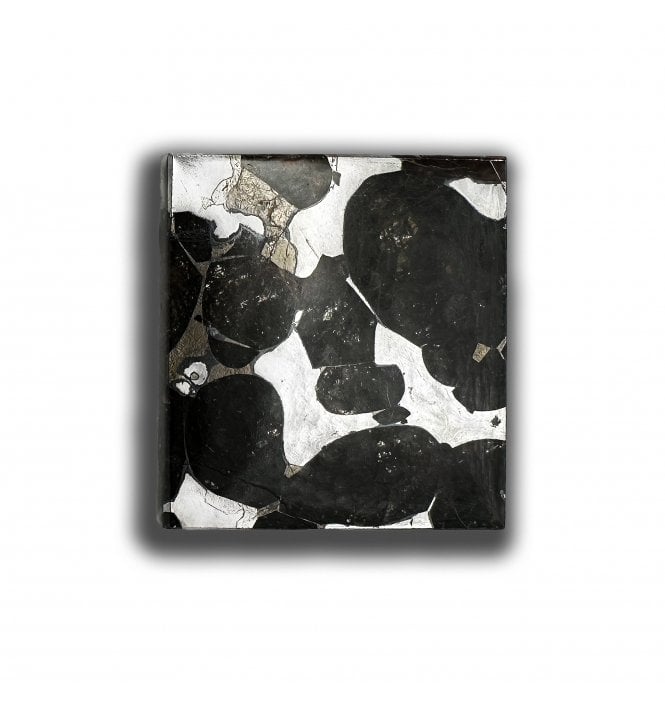 5g Sericho Pallasite Slice Stony-Iron Meteorite (SKU M2463)