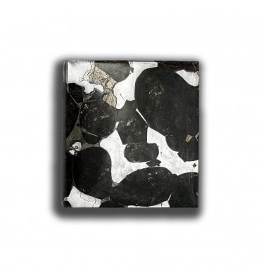 5g Sericho Pallasite Slice Stony-Iron Meteorite (SKU M2463)