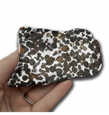 62g Sericho Pallasite Slice Stony-Iron Meteorite (SKU M2471)