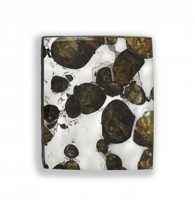 6g Brahin Pallasite Slice Stony-Iron Meteorite (SKU M2814)