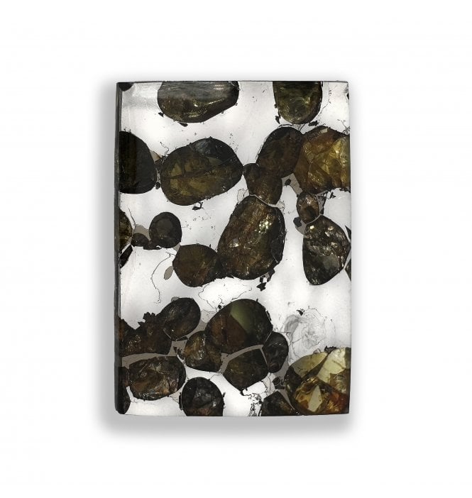 7g Brahin Pallasite Slice Stony-Iron Meteorite (SKU M2815)