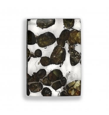 7g Brahin Pallasite Slice Stony-Iron Meteorite (SKU M2815)