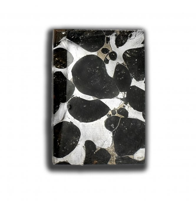 7g Sericho Pallasite Slice Stony-Iron Meteorite (SKU M2466)
