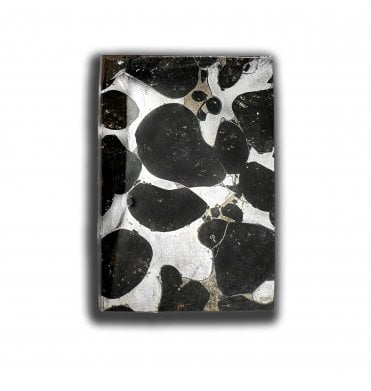 7g Sericho Pallasite Slice Stony-Iron Meteorite (SKU M2466)