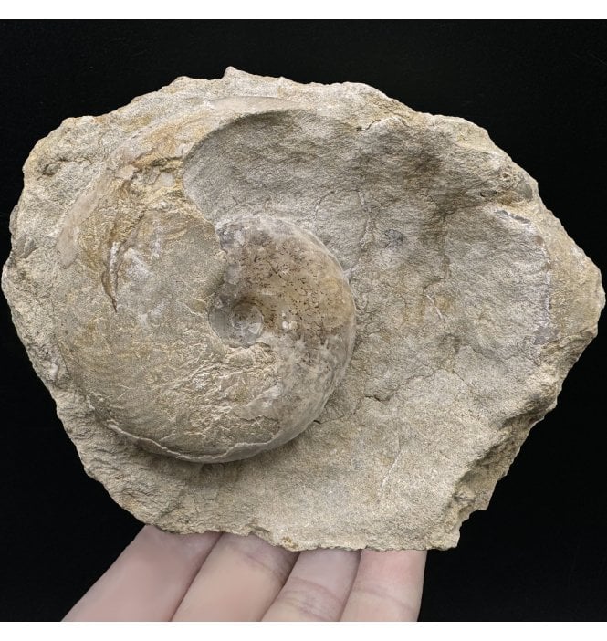 Oolite Rocks