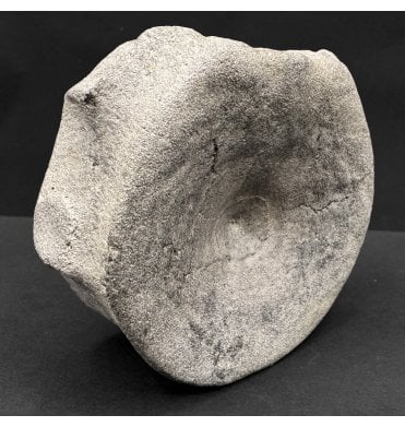 British Middle Jurassic Ichthyosaurus Vertebra from Peterborough, Cambridgeshire, England (SKU V8108):- Opthalmosaurus icenicus
