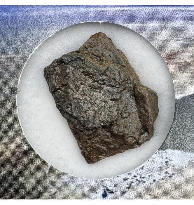Canyon Diablo Iron Meteorite (SKU M1853)