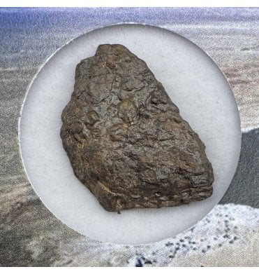 Canyon Diablo Iron Meteorite (SKU M1854)