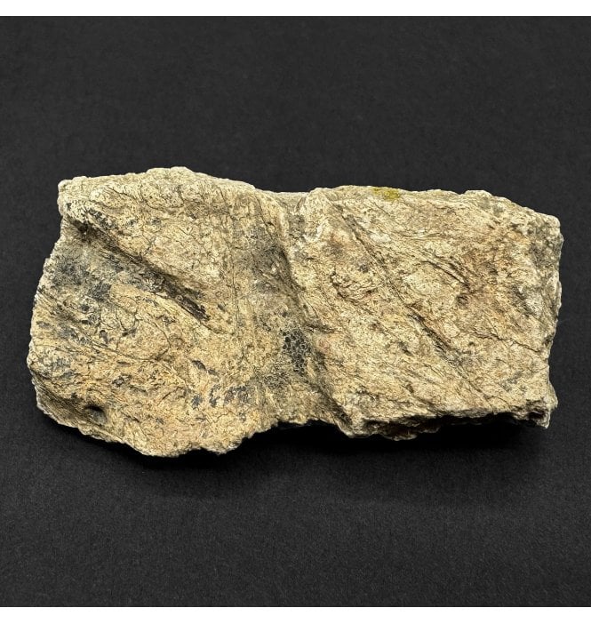 Ceratopsian (Triceratops) Frill Fragment from South Dakota, USA (SKU V9346):- Triceratops horridus