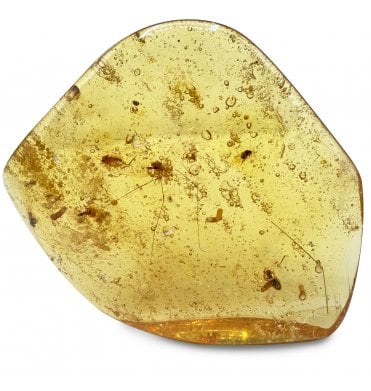 Copal with Insect Inclusions from Columbia (SKU OF3454):- Formicidae, Chalcidoidea, Araneae, Cecidomyiidae, Phoridae, Chironomidae, Cicadellidae