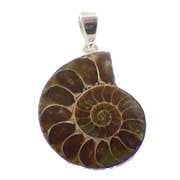 Fossil Jewellery