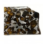 Rare Meteorites