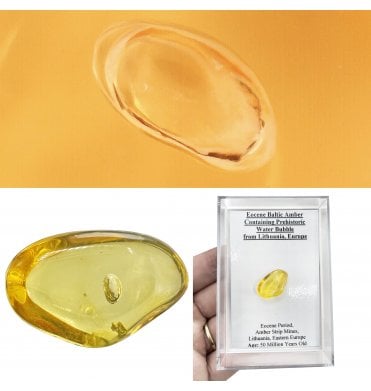 Eocene Baltic Amber Containing Prehistoric Water Bubble from Lithuania, Europe (SKU OF4498)