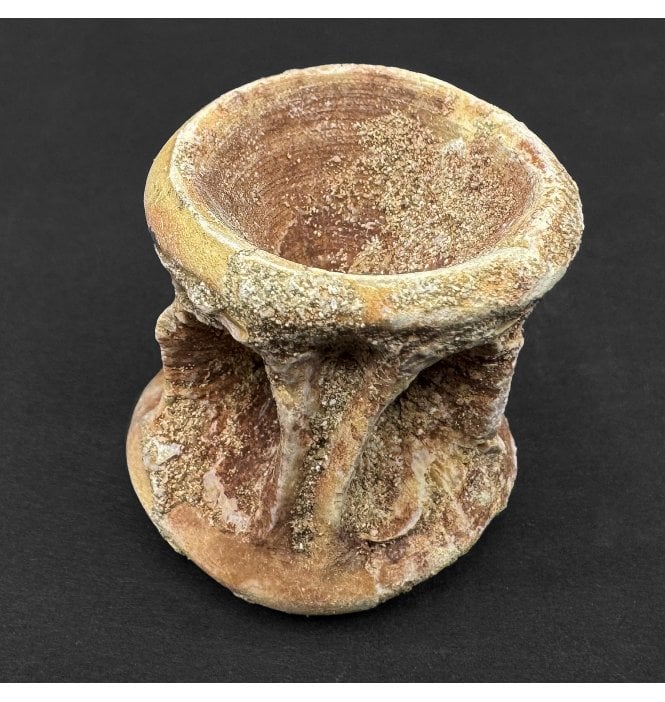 Eocene Fossil Fish Vertebra from Morocco (SKU V8189)