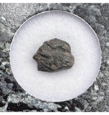 Evidence of Panspermia? <0.001g CV3 Carbonaceous Chondrite Meteorite Fragment (SKU M1801)