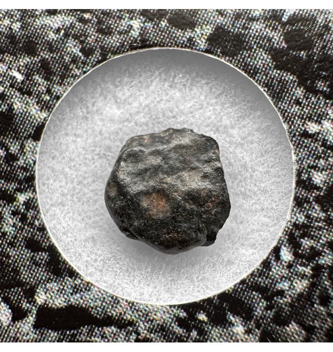 Evidence of Panspermia? <0.001g CV3 Carbonaceous Chondrite Meteorite Fragment (SKU M2533)