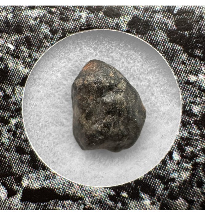 Evidence of Panspermia? <0.001g CV3 Carbonaceous Chondrite Meteorite Fragment (SKU M2536)